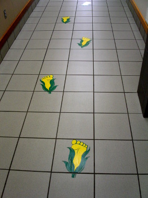 [Corn cob decals on the tile floor indicating which way to walk. The corn in the corn cob is a yellow foot with toes.]